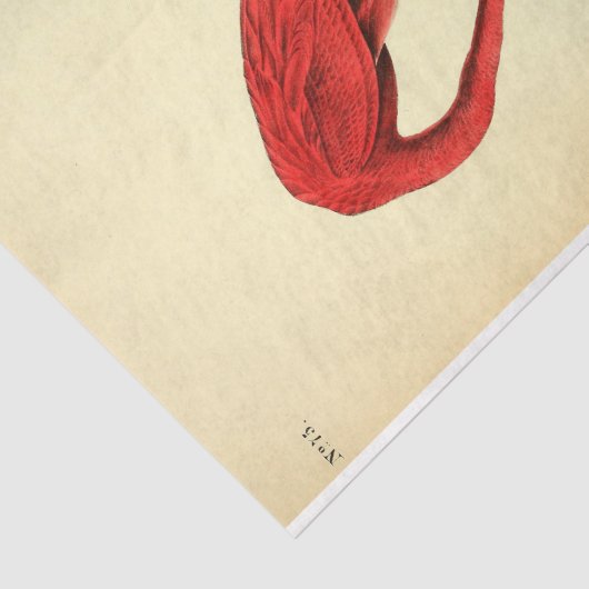 Flamingo Bird Ephemera Decoupage Seidenpapier (Ausschnitt)