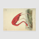 Flamingo Bird Ephemera Decoupage Seidenpapier (Vorderseite)