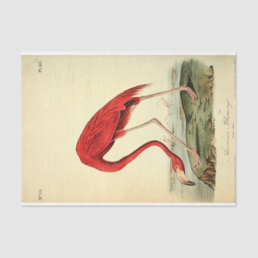 Flamingo Bird Ephemera Decoupage Seidenpapier (Vorderseite)