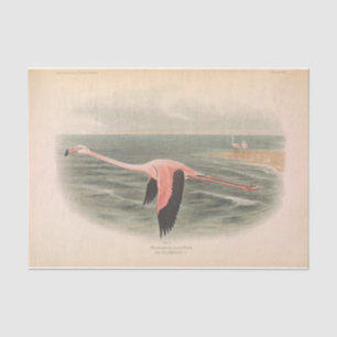 Flamingo Bird Ephemerge Decoupage Seidenpapier