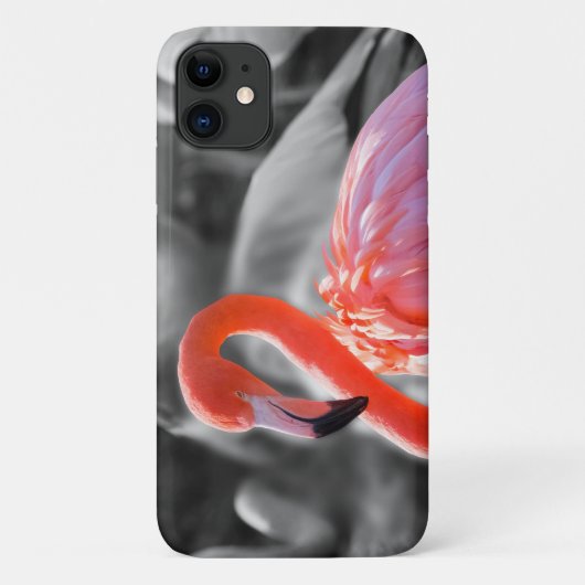 Flamingo Bird Fotografy Case-Mate iPhone Hülle (Rückseite)
