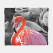 Flamingo Bird Fotografy Fleecedecke (Vorderseite (Horizontal))