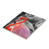 Flamingo Bird Fotografy Fliese (Seite)