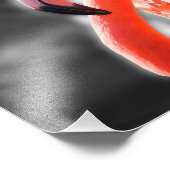 Flamingo Bird Fotografy Fotodruck (Ecke)