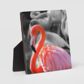 Flamingo Bird Fotografy Fotoplatte (Vorderseite)