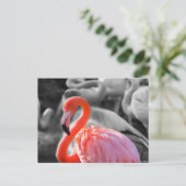 Flamingo Bird Fotografy Postkarte (Stehend Vorderseite)