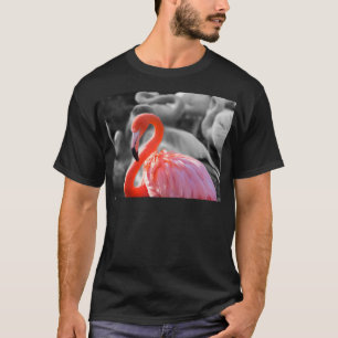 Flamingo Bird Fotografy T-Shirt