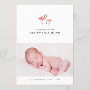 Flamingo Birth Announcement Ankündigung