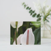 Flamingo Blume Postcard Postkarte (Stehend Vorderseite)