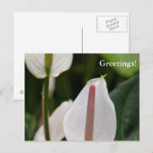 Flamingo Blume Postcard Postkarte (Vorne/Hinten)