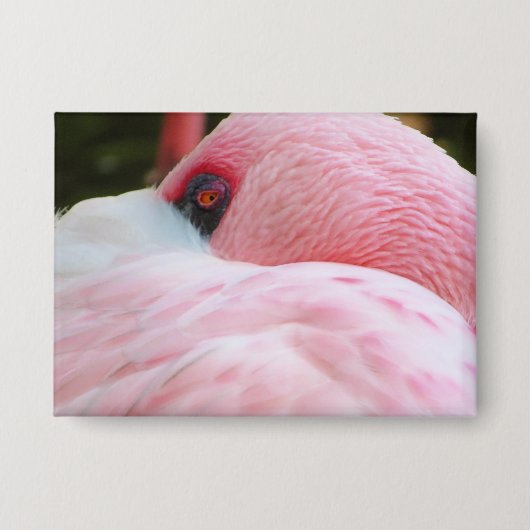 Flamingo Button (Vorderseite)