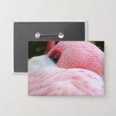 Flamingo Button (Vorderseite/Rückseite)