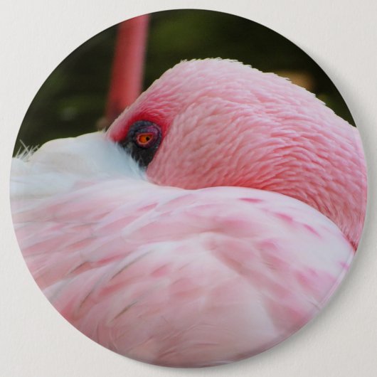 Flamingo Button (Vorderseite)
