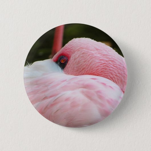 Flamingo Button (Vorderseite)