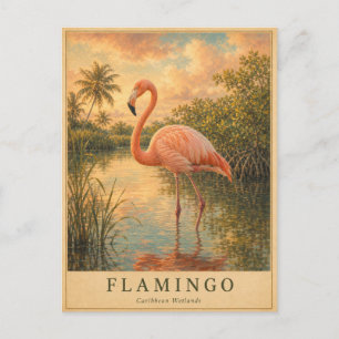 Flamingo Caribbean Wetlands VINTAGE Postkarte