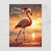 Flamingo Christmas Feiertagspostkarte (Vorderseite)
