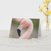 Flamingo Close Up Card Karte (Gelbe Blume)