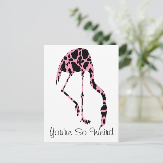 Flamingo Cow Spots Sie sind so komisch Postkarte (Stehend Vorderseite)