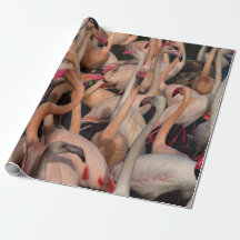 Flamingo crowd Foto Wrapping Papier