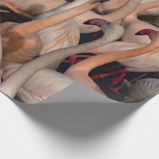 Flamingo crowd Foto Wrapping Papier Geschenkpapier (Ecke)