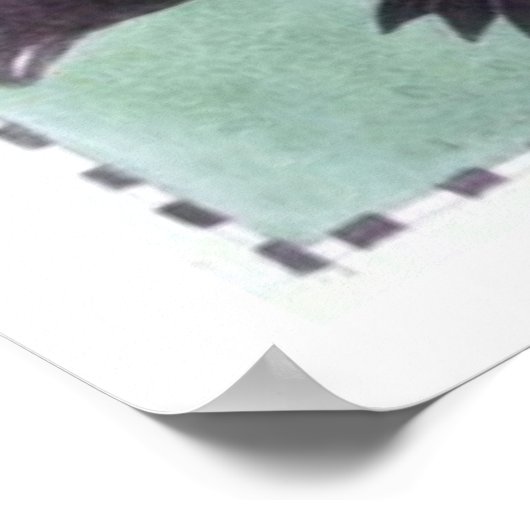 Flamingo Dance Poster (Ecke)