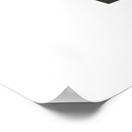 Flamingo Dance Poster (Ecke)