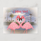 Flamingo Dance Postkarte (Vorderseite)