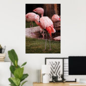 Flamingo - der Flamingo Poster (Heimbüro)