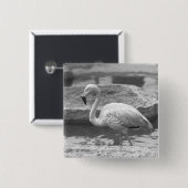 Flamingo, der im Wasser B&W watet Button (Vorne & Hinten)