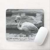 Flamingo, der im Wasser B&W watet Mousepad (Mit Mouse)