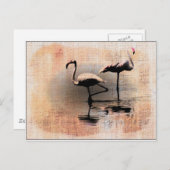 Flamingo Dreams Postkarte (Vorne/Hinten)