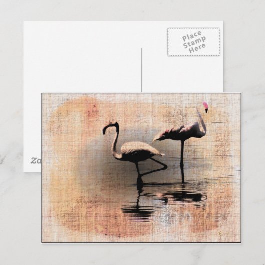 Flamingo Dreams Postkarte (Vorne/Hinten)