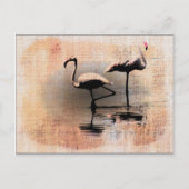 Flamingo Dreams Postkarte (Vorderseite)