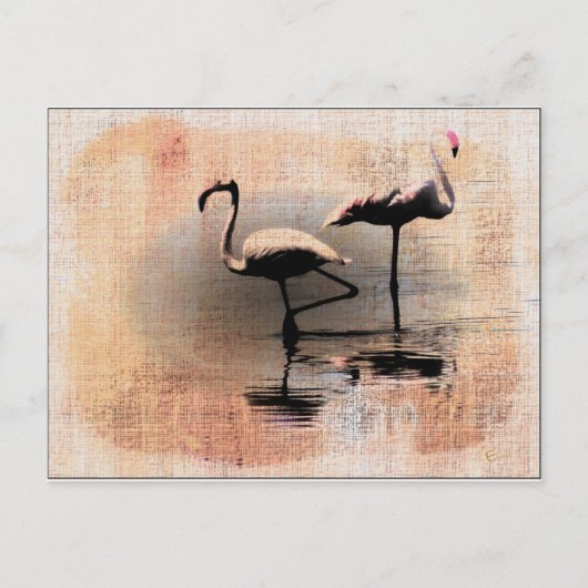 Flamingo Dreams Postkarte (Vorderseite)