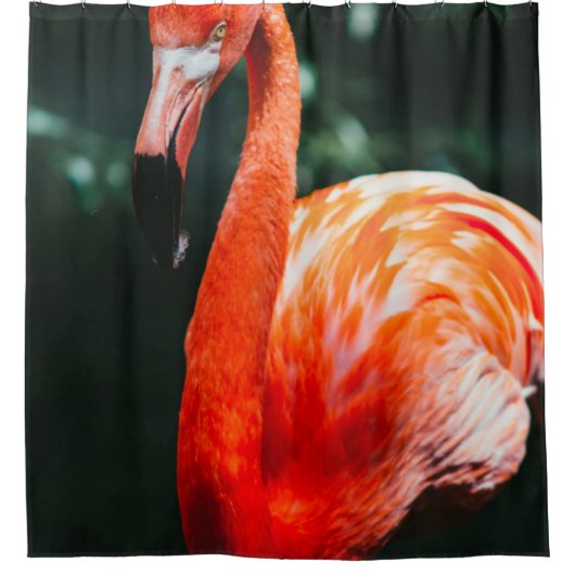 FLAMINGO DUSCHVORHANG (Vorderseite)