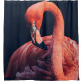 Flamingo Duschvorhang (Vorderseite)