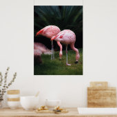 Flamingo - Ein Set von Flamingos Poster (Küche)