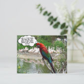 Flamingo Envy Postkarte (Stehend Vorderseite)