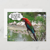 Flamingo Envy Postkarte (Vorne/Hinten)