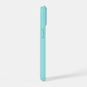 Flamingo Fandango Duo iPhone Case 15 Hülle (Rechte Seite)