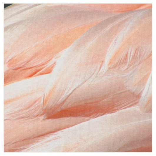 Flamingo Feathers - 5818 Stoff (Nahaufnahme)