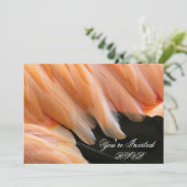 Flamingo Feathers_ Einladung (Stehend Vorderseite)