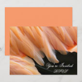 Flamingo Feathers_ Einladung (Vorne/Hinten)