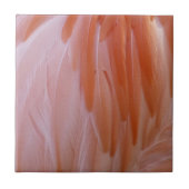 Flamingo Feathers in Pink-Schatten Fliese (Vorderseite)