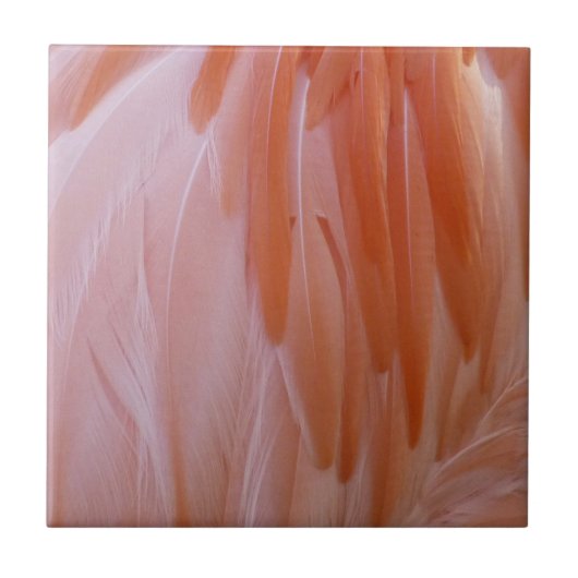 Flamingo Feathers in Pink-Schatten Fliese (Vorderseite)