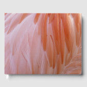 Flamingo Feathers in Pink-Schatten Gästebuch (Vorderseite)
