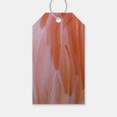Flamingo Feathers in Pink-Schatten Geschenkanhänger (Vorderseite)