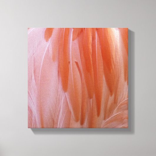 Flamingo Feathers in Pink-Schatten Leinwanddruck (Vorderseite)