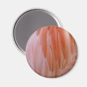 Flamingo Feathers in Pink-Schatten Magnet (Vorderseite/Rückseite)