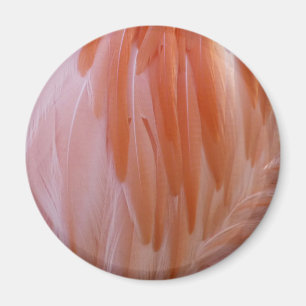 Flamingo Feathers in Pink-Schatten Magnet